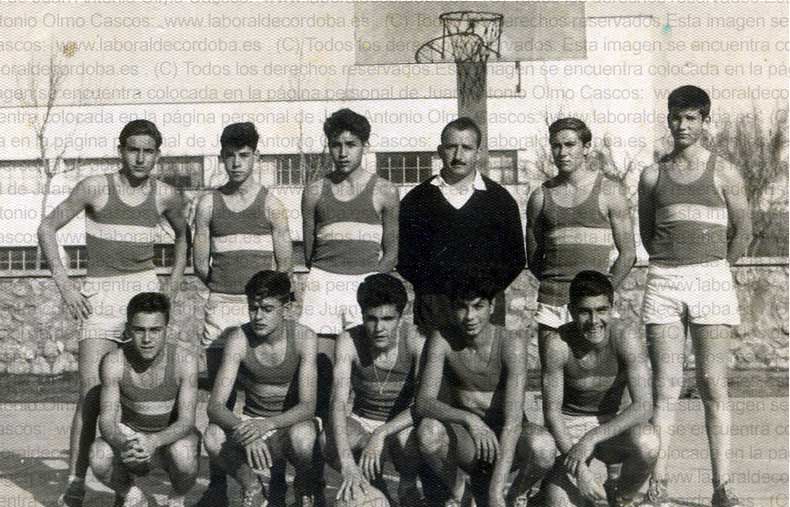 Imagen de la galería