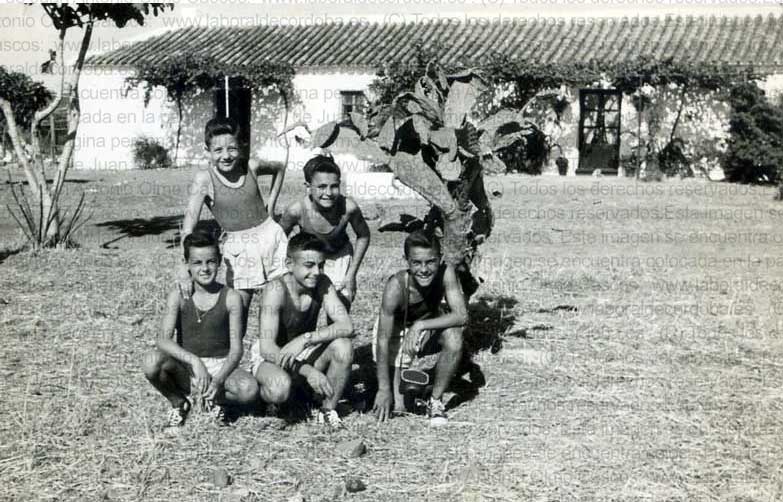 Imagen de la galería