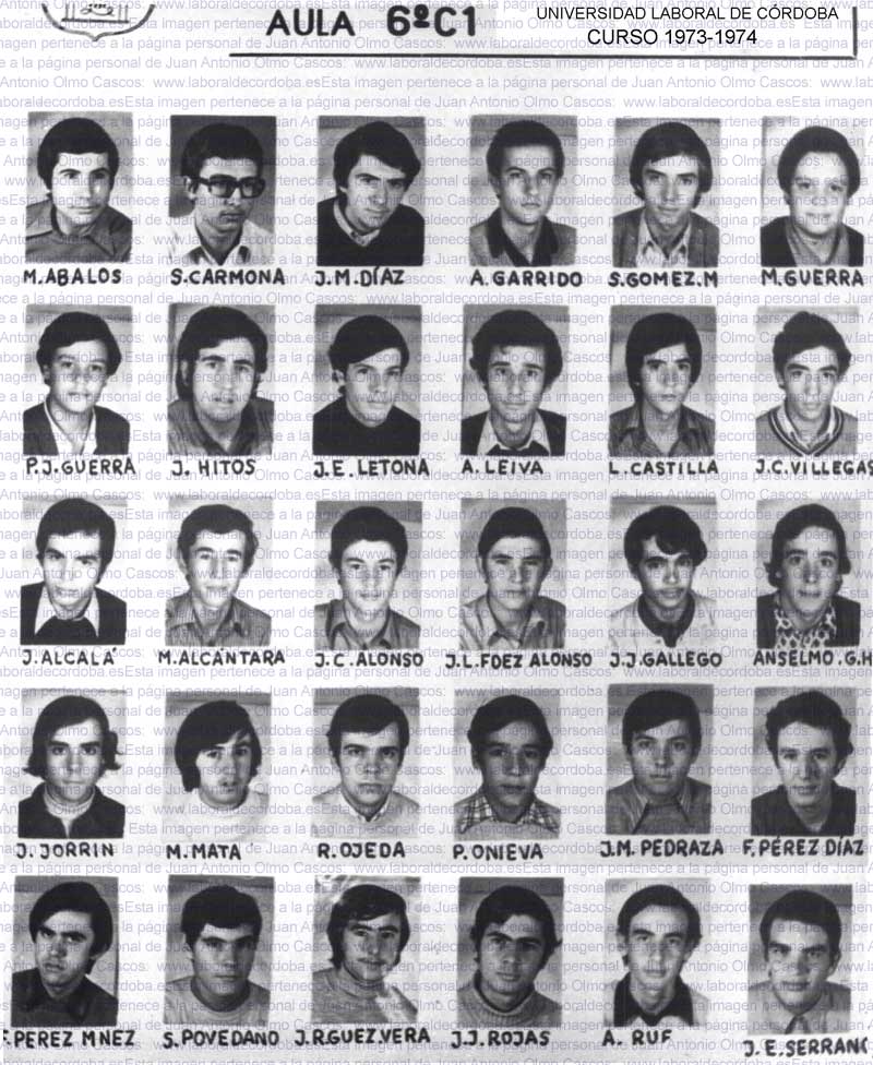 Imagen de la galería