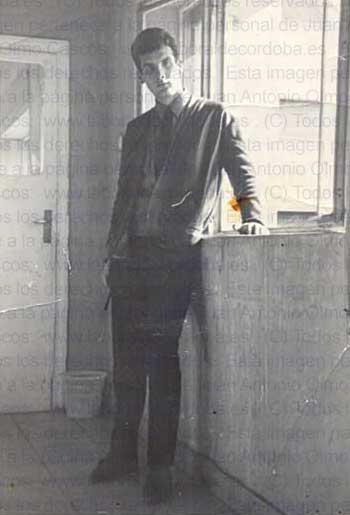 Imagen de la galería