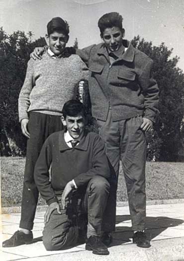 Imagen de la galería