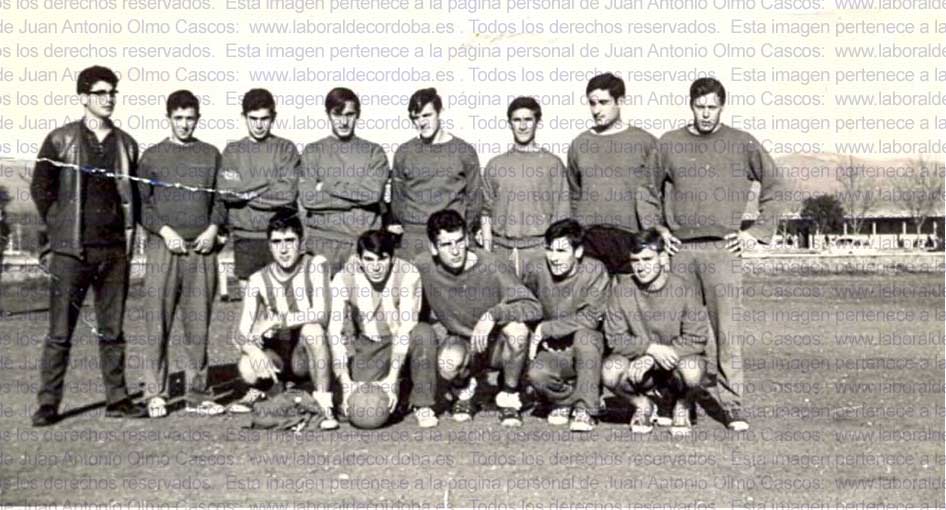 Imagen de la galería