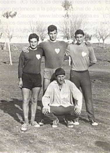 Imagen de la galería
