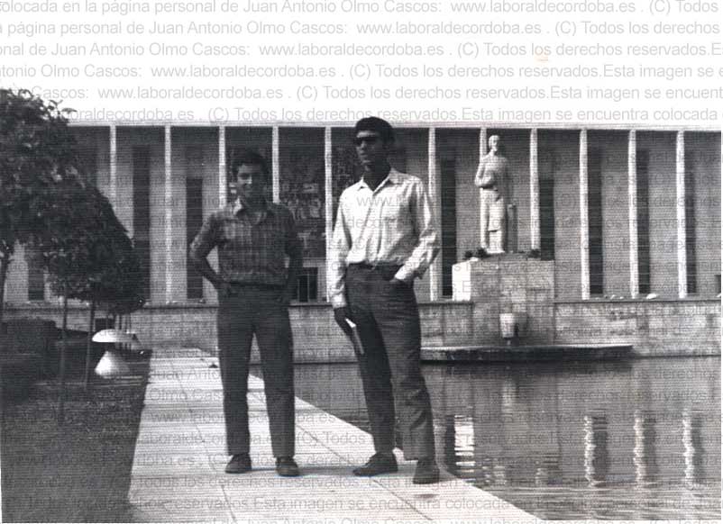 Imagen de la galería