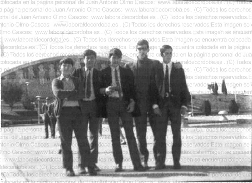 Imagen de la galería