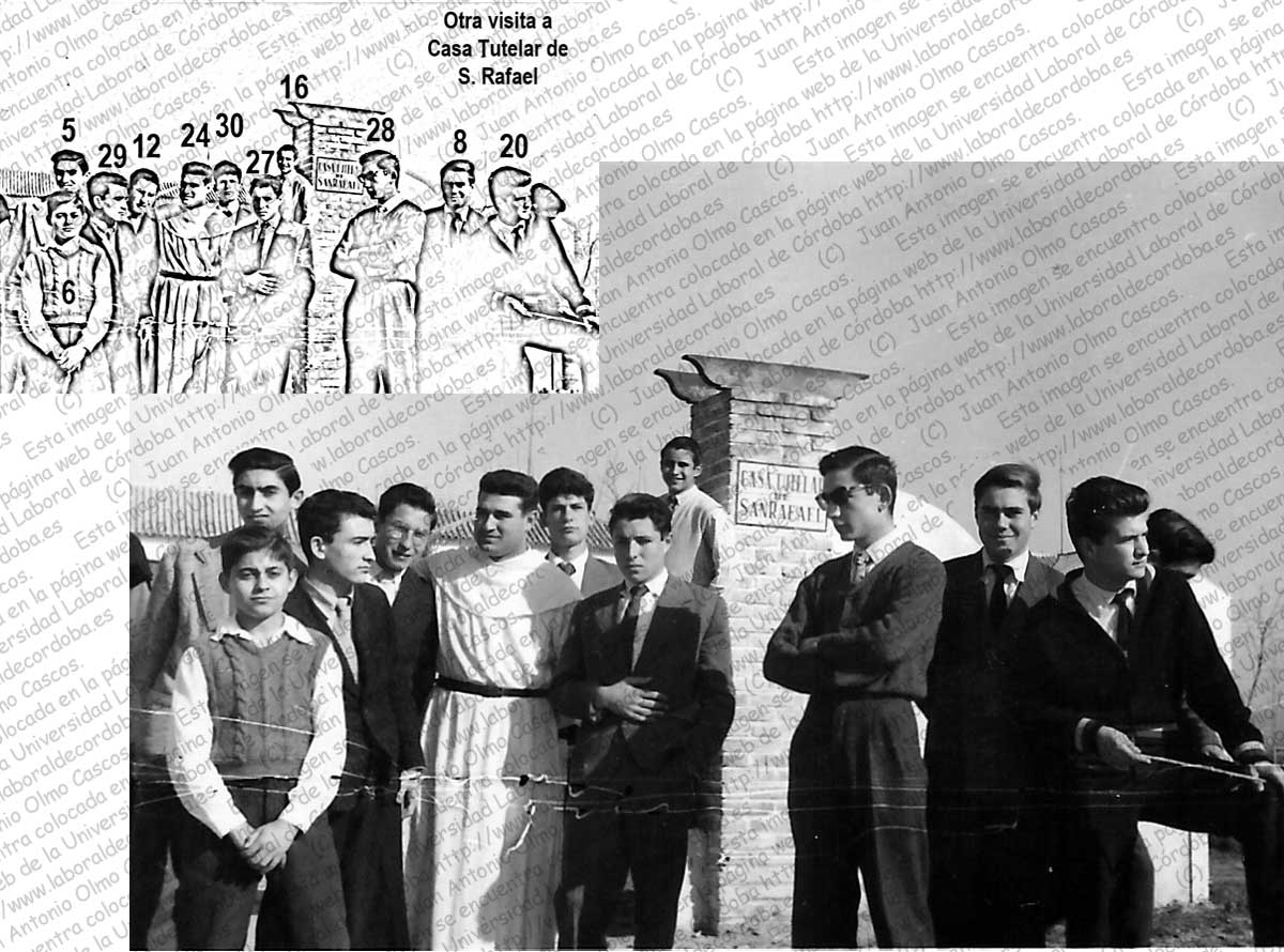 Imagen de la galería