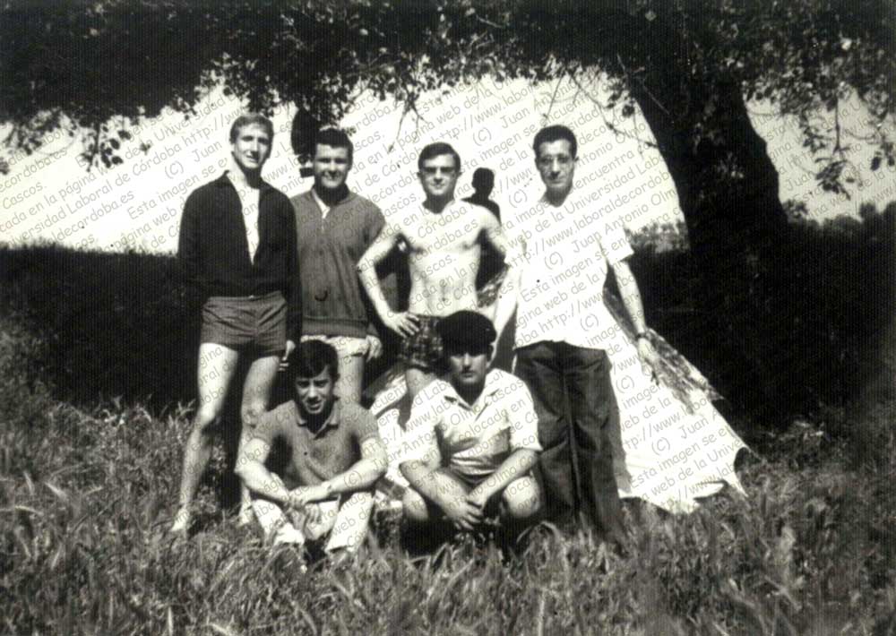 Imagen de la galería