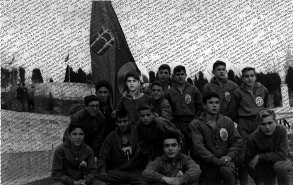 Imagen de la galería