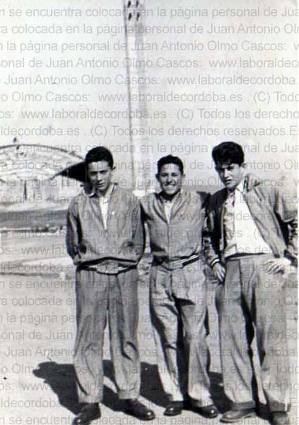Imagen de la galería