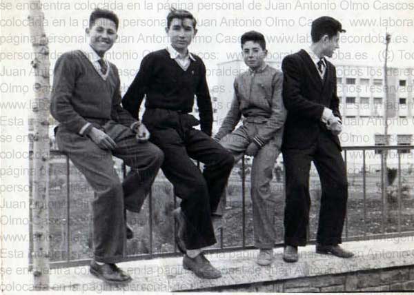 Imagen de la galería