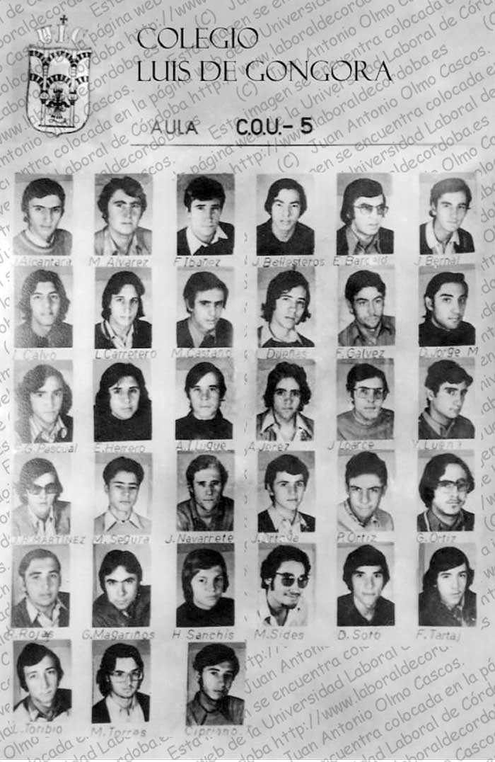 Imagen de la galería