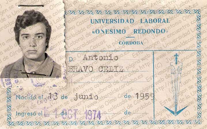 Imagen de la galería