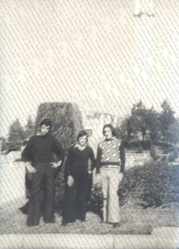 Imagen de la galería