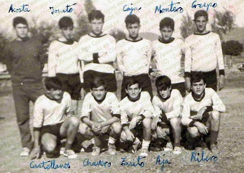 Imagen de la galería