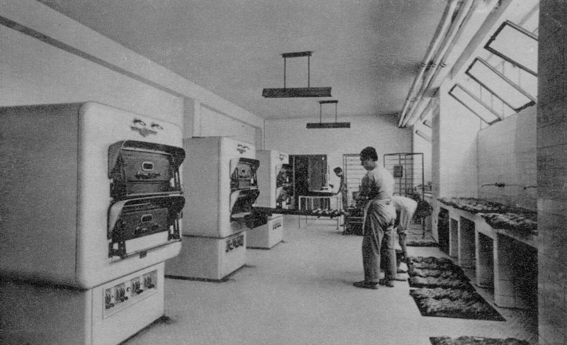 Imagen de la galería