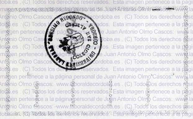 Imagen de la galería