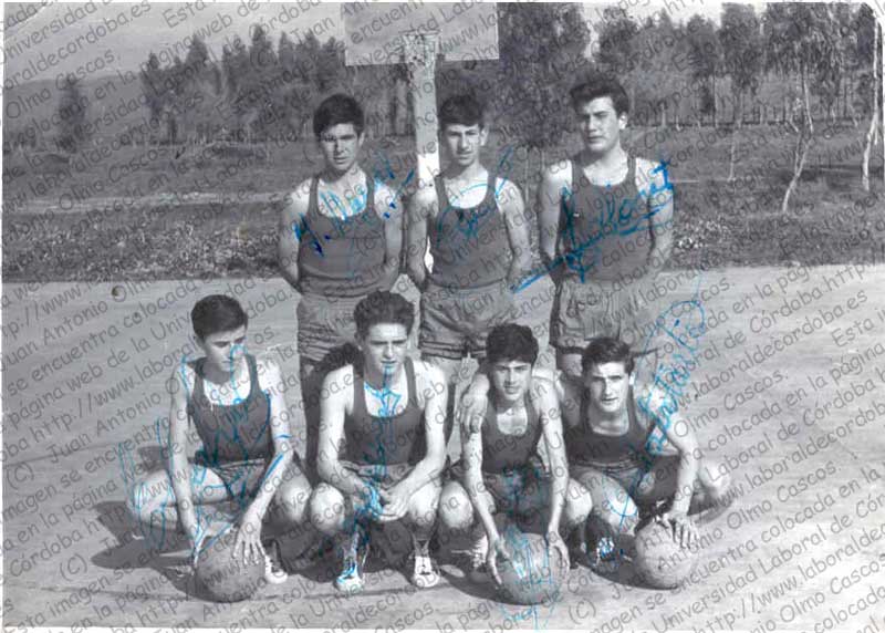 Imagen de la galería