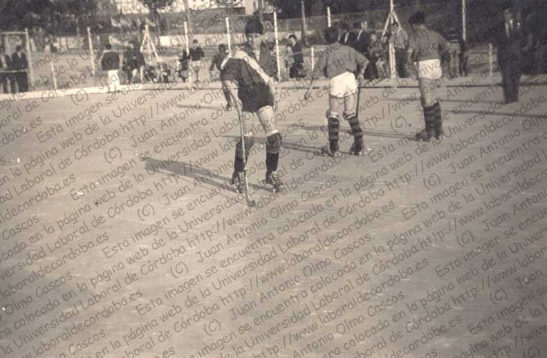 Imagen de la galería