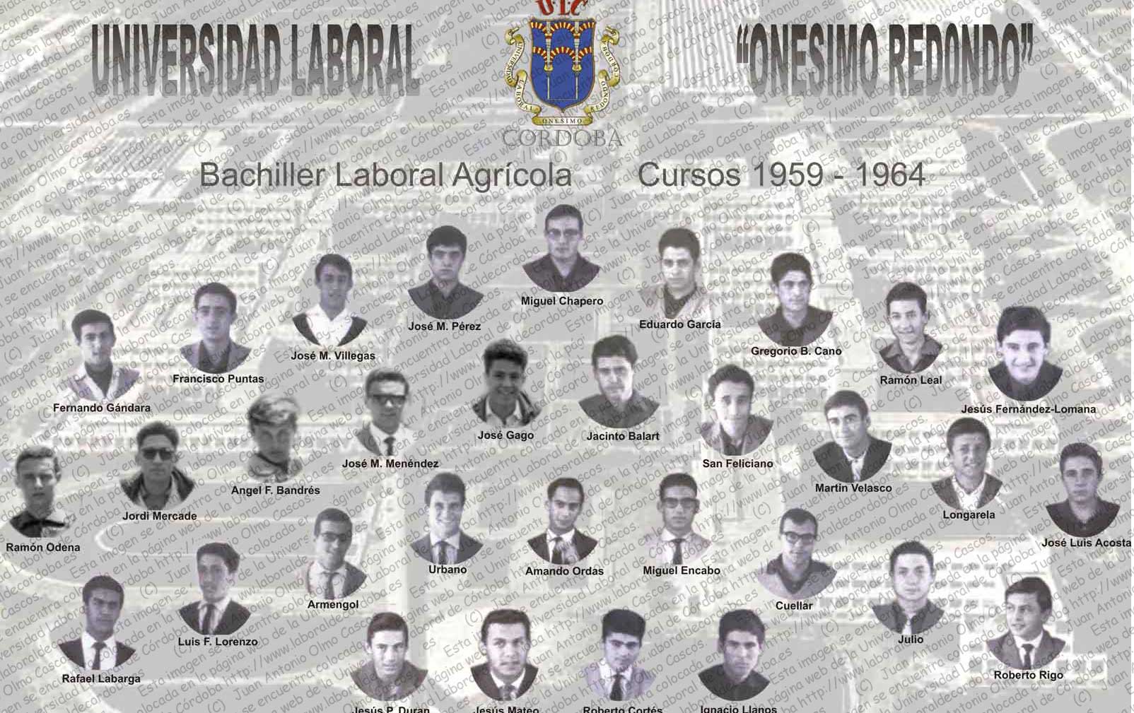 Imagen de la galería