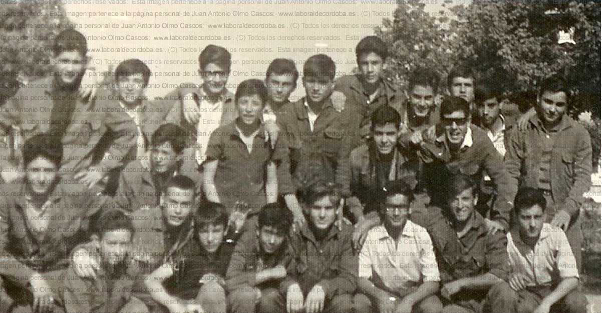 Imagen de la galería