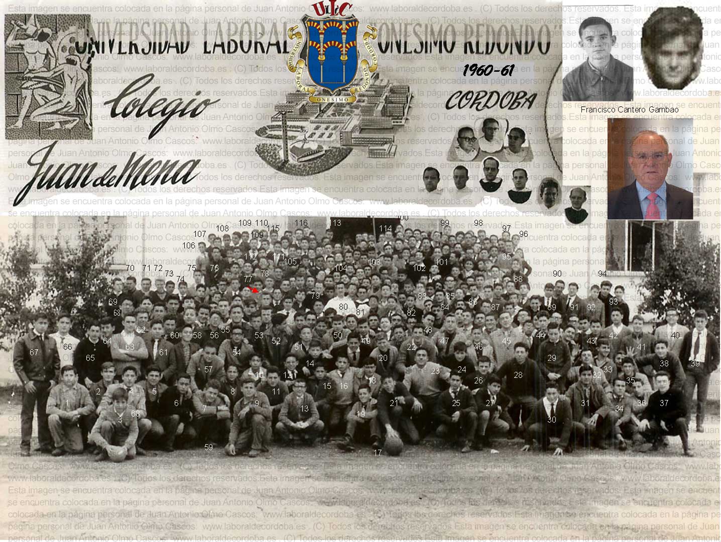Imagen de la galería