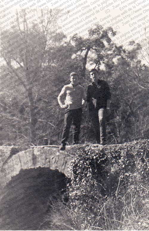 Imagen de la galería