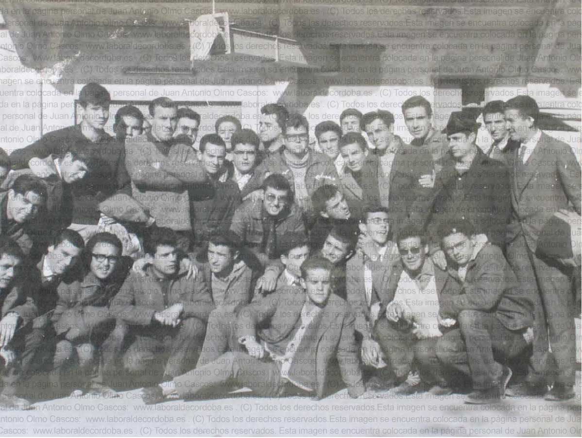 Imagen de la galería