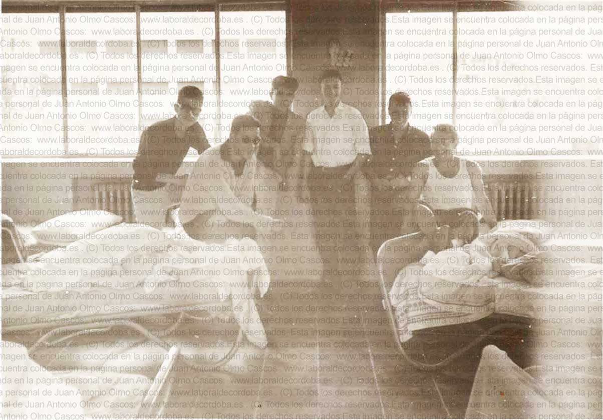Imagen de la galería