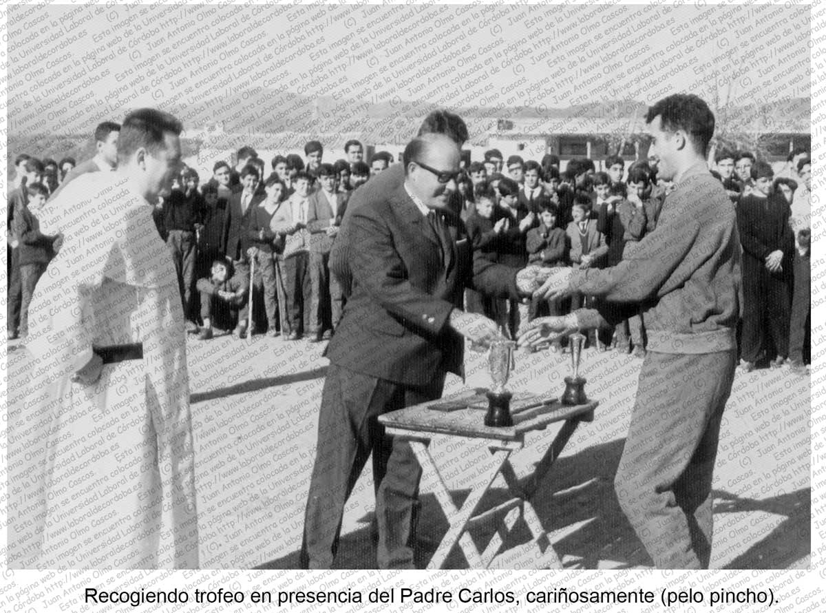 Imagen de la galería
