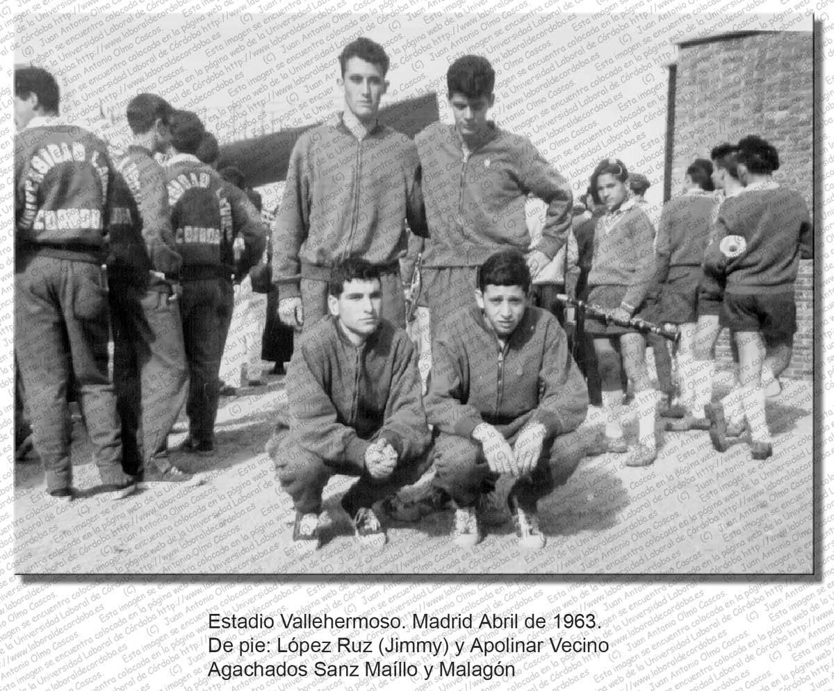 Imagen de la galería
