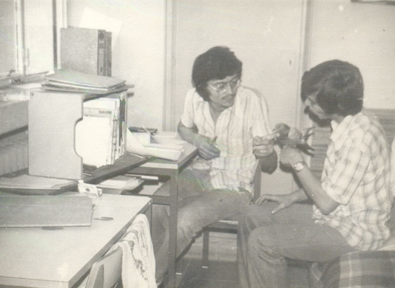 Imagen de la galería