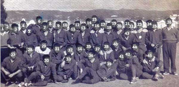 Capa numerada