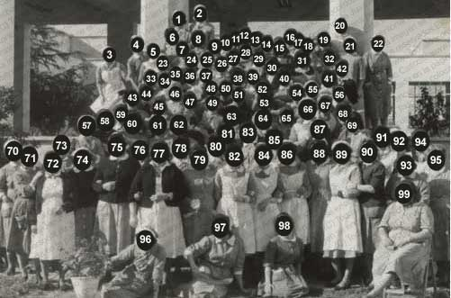 Capa numerada